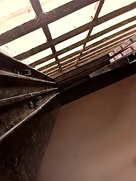 ipvk online show from 03-19-26, 02:48