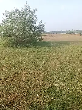 AgitatedStrip9 online show from 10-01-25, 02:17