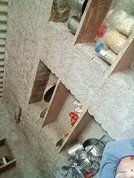 Snapshot of M-Kajal456 chatting on 10-11-25, 11:31 M-Kajal456 online show from 10-11-25, 11:31