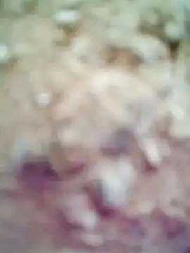 Snapshot of M-Kajal456 chatting on 11-04-25, 03:49 M-Kajal456 online show from 11-04-25, 03:49