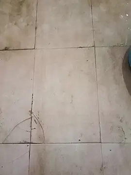 TeluguCuplehyd online show from 09-20-25, 11:17