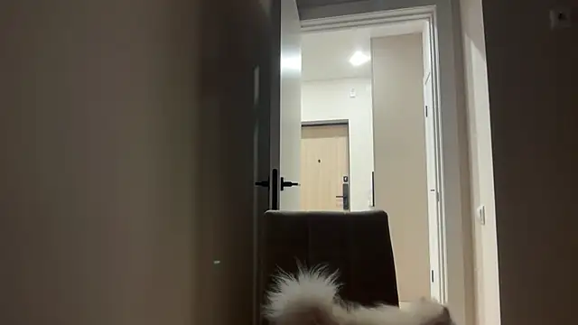 Snapshot of CandysRose chatting on 04-29-26, 06:14 CandysRose online show from 04-29-26, 06:14