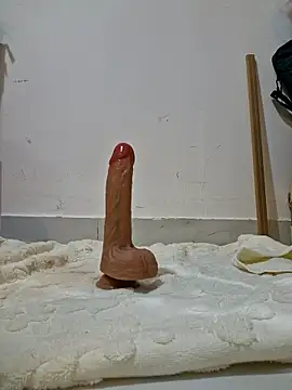 Snapshot of moka12378 chatting on 10-21-25, 02:07 moka12378 online show from 10-21-25, 02:07