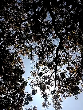 Rs sonam online show from 03-07-26, 05:26