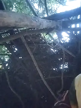 Na shreya online show from 06-01-26, 11:50