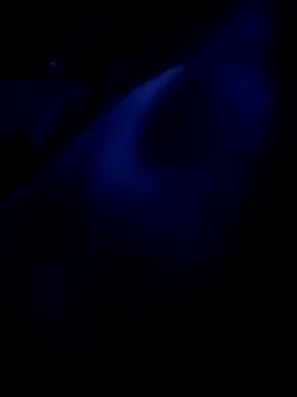 Doubledesire91 online show from 01-31-26, 09:13
