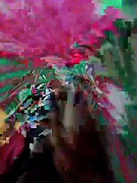 nagepalli online show from 04-08-26, 05:46