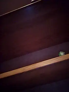 DeeBestEver online show from 11-04-25, 01:16