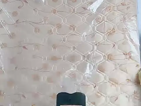 dachui 168 online show from 03-22-26, 05:44