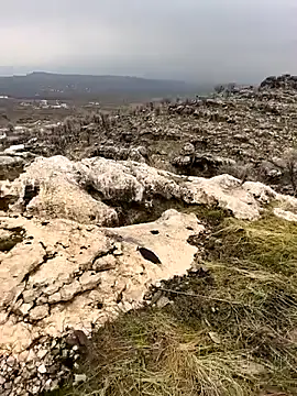 Sert erkek21 ysm online show from 02-02-26, 10:03