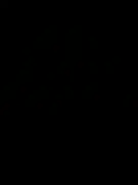 oto1004core online show from 03-29-26, 04:34