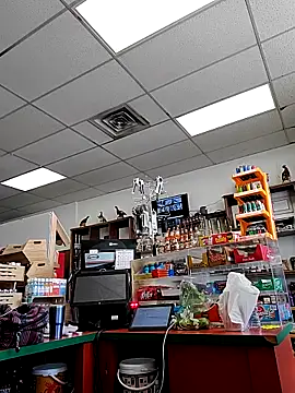 Cassaroll333 online show from 11-30-25, 05:28