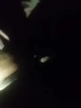 Thaps deDick online show from 04-11-26, 09:41