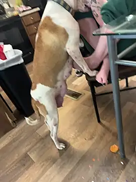 Mustbethemoney1234 online show from 04-06-26, 09:05