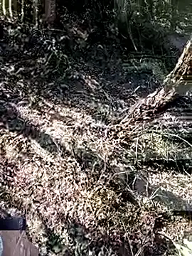 228fucker online show from 01-08-26, 07:43