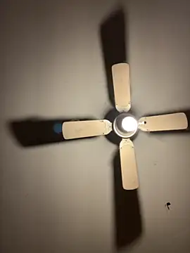 Snapshot of CarmeloA chatting on 10-22-25, 08:41 CarmeloA online show from 10-22-25, 08:41