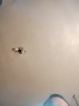 james81mzmga online show from 11-15-25, 08:11