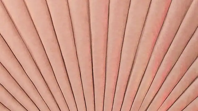 Emma duff online show from 10-24-25, 12:01