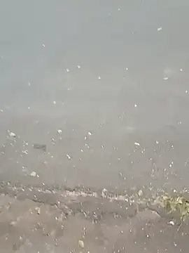 roludao fun online show from 02-23-26, 09:34