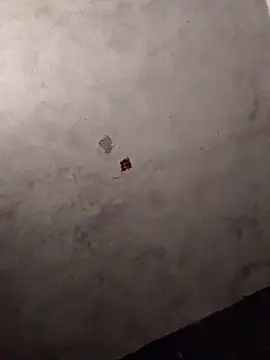 Orlao25cm online show from 03-12-26, 08:37