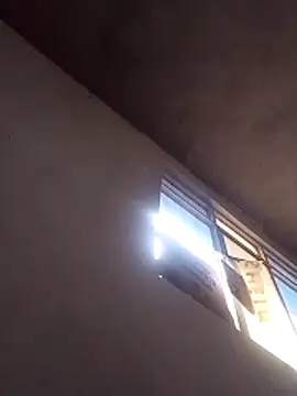 Orlao25cm online show from 03-15-26, 07:09