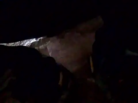 Orlao25cm online show from 03-27-26, 09:36