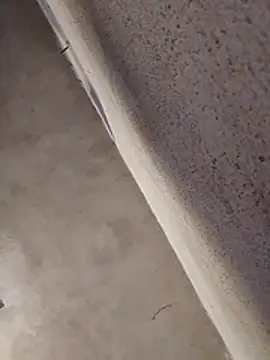 Orlao25cm online show from 04-01-26, 02:14