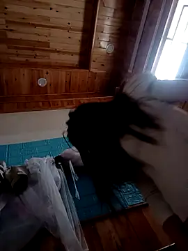 kokoto-59 online show from 02-07-26, 01:09