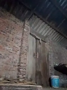  LAN  online show from 03-26-26, 09:53