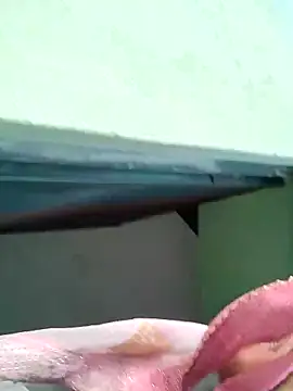 Bhumika Love online show from 11-11-25, 11:21