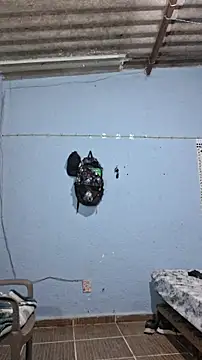 666Daemon666 online show from 02-17-26, 07:16