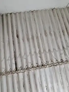 Snapshot of Dirty-Mature-XXX chatting on 02-10-26, 12:59 Dirty-Mature-XXX online show from 02-10-26, 12:59