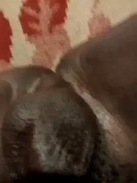 Reajune2001 online show from 04-20-26, 02:09