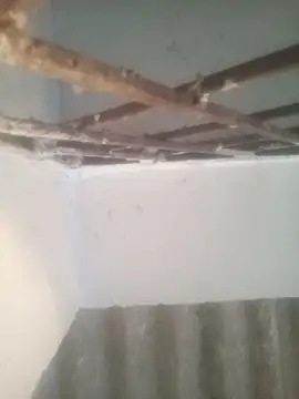 Pallu Asha online show from 03-15-26, 01:22