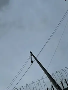 Samantha firee online show from 04-13-26, 11:16