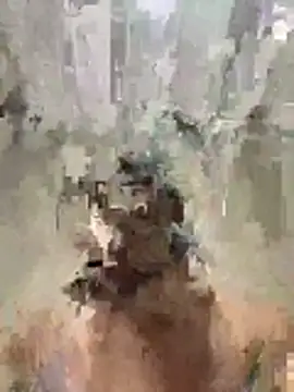 Pirocao 777 online show from 03-16-26, 03:12