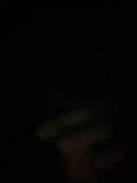 Manfredini607452 online show from 11-26-25, 12:44