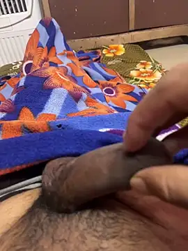 porn ritik online show from 11-29-25, 06:33