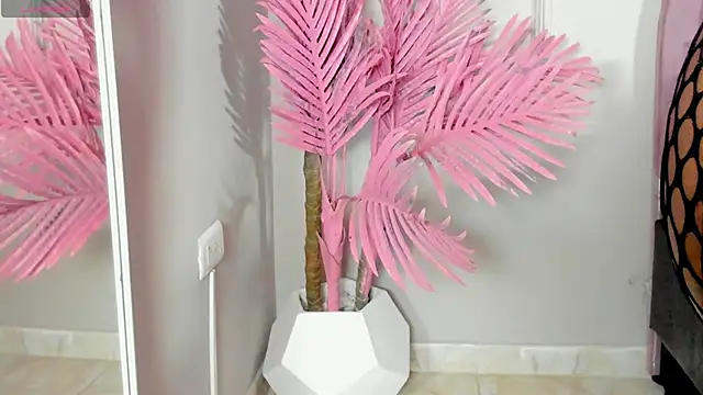 Snapshot of Tamaramilleer chatting on 02-02-26, 03:49 Tamaramilleer online show from 02-02-26, 03:49