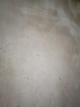 Snapshot of blonde_blg chatting on 03-14-26, 11:32 blonde blg online show from 03-14-26, 11:32