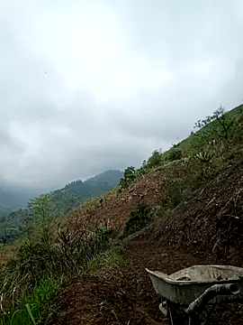 Snapshot of blonde_blg chatting on 03-24-26, 03:33 blonde blg online show from 03-24-26, 03:33