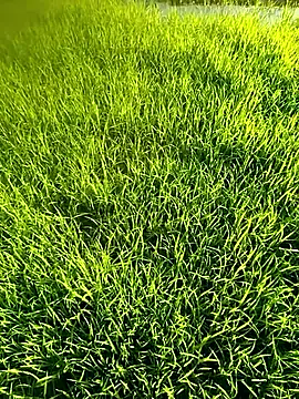 Snapshot of blonde_blg chatting on 04-12-26, 10:09 blonde blg online show from 04-12-26, 10:09