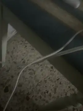 simeonehivd online show from 04-14-26, 09:54