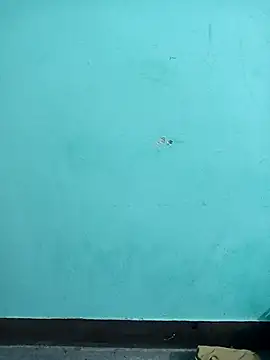 Snapshot of Sexacock01 chatting on 02-04-26, 11:16 Sexacock01 online show from 02-04-26, 11:16