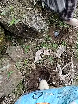 Pampirara online show from 03-21-26, 03:11