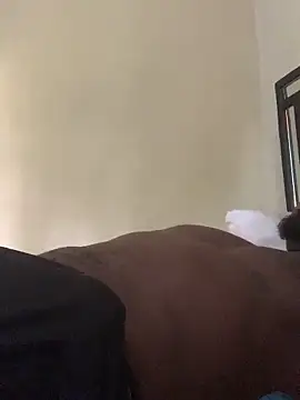 laperson online show from 04-04-26, 11:40