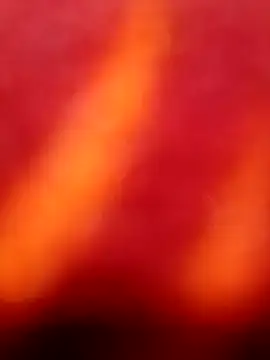 Nandani-758 online show from 05-03-26, 08:53