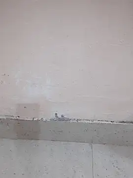 Snapshot of Alli8900 chatting on 03-19-26, 04:11 Alli8900 online show from 03-19-26, 04:11