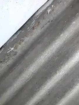 Babita Gori online show from 04-08-26, 02:28