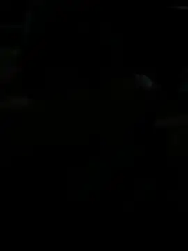 BigDick-A-Money online show from 04-28-26, 07:30